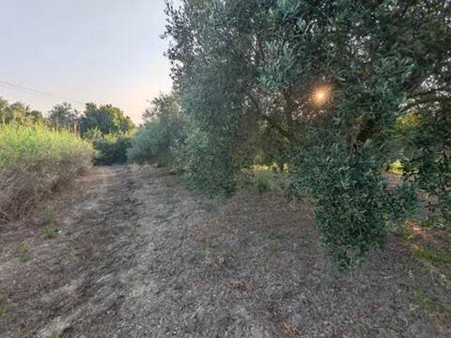 Terreno in vendita a San Pier Niceto, Sicilia