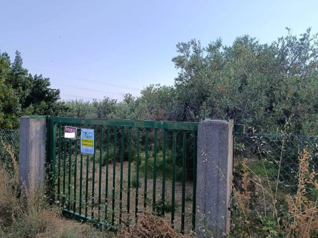 Terreno in vendita a San Pier Niceto, Sicilia