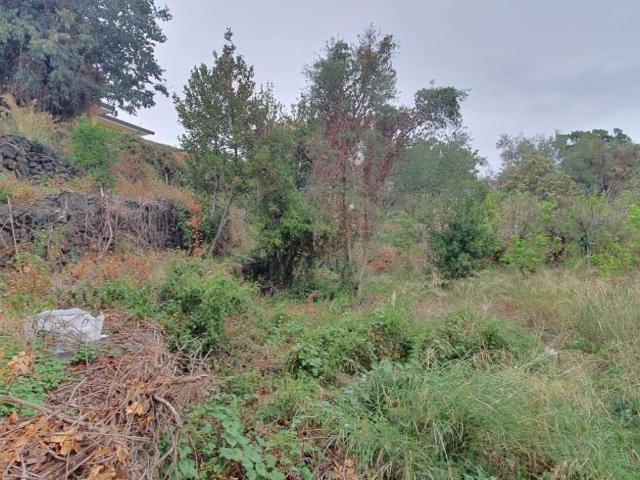 Terreno in vendita a San Pietro Clarenza, Sicilia