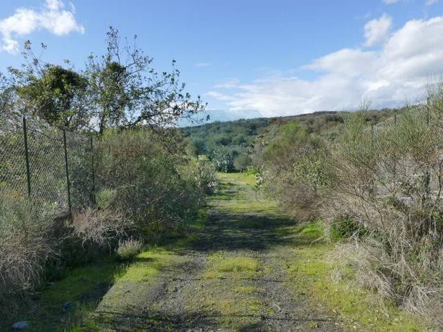 Terreno in vendita a San Pietro Clarenza, Sicilia