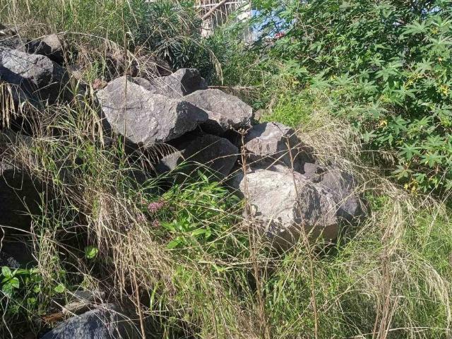 Terreno in vendita a San Pietro Clarenza, Sicilia