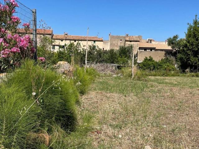 Terreno in vendita a San Pietro in Amantea, Cosenza