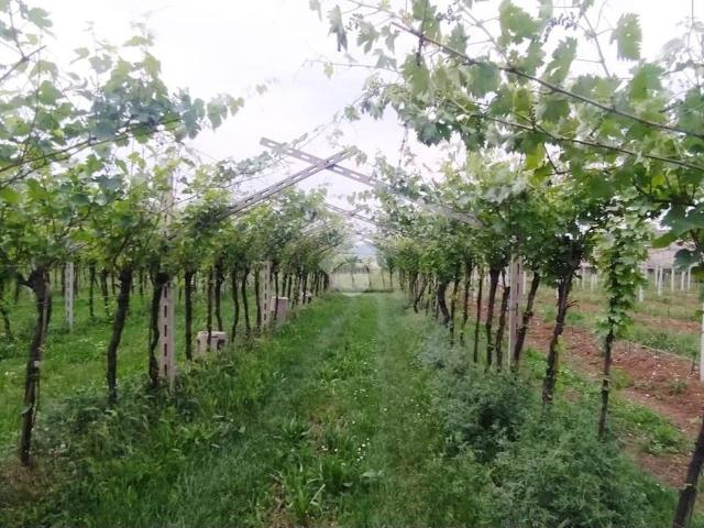 Terreno in vendita a San Pietro In Cariano, Veneto