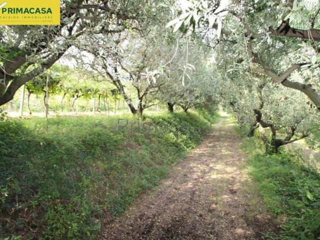 Terreno in vendita a San Pietro In Cariano, Veneto
