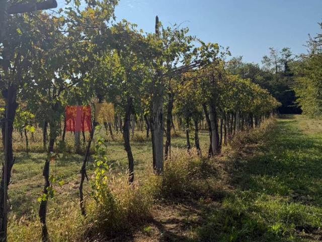 Terreno in vendita a Pedemonte, San Pietro in Cariano