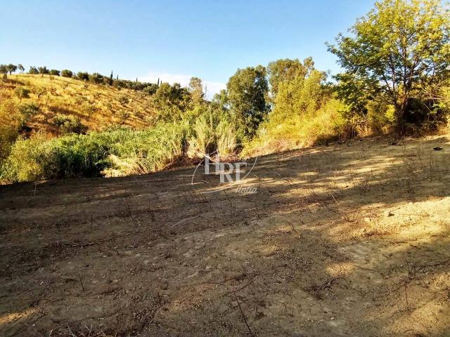 Terreno in vendita a Calabria, Cosenza