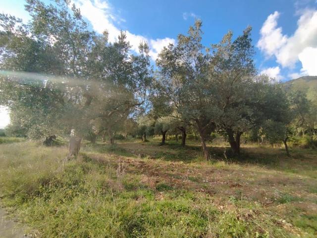 Terreno in vendita a San Pietro Infine, Campania