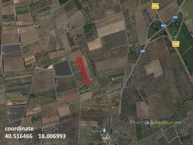 Terreno in vendita a Puglia, Brindisi