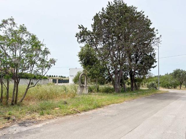 Terreno in vendita a Puglia, Brindisi