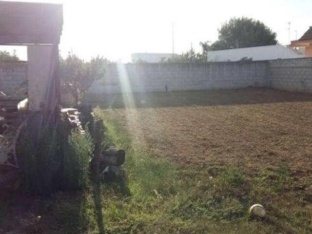 Terreno in vendita a Puglia, Brindisi