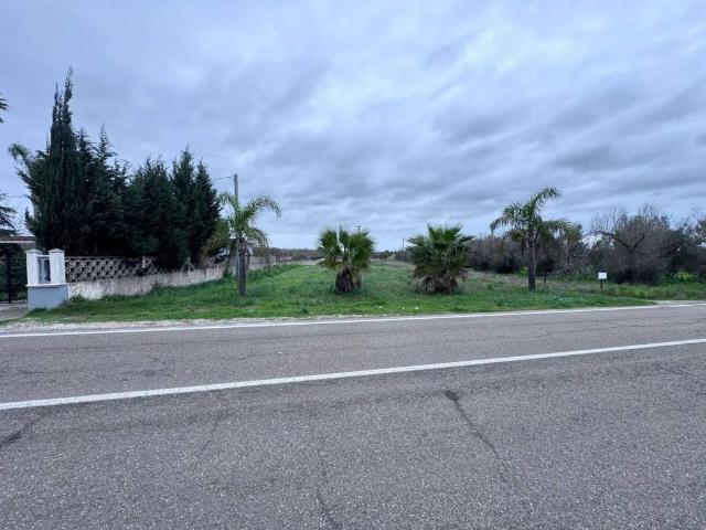 Terreno in vendita a Puglia, Brindisi
