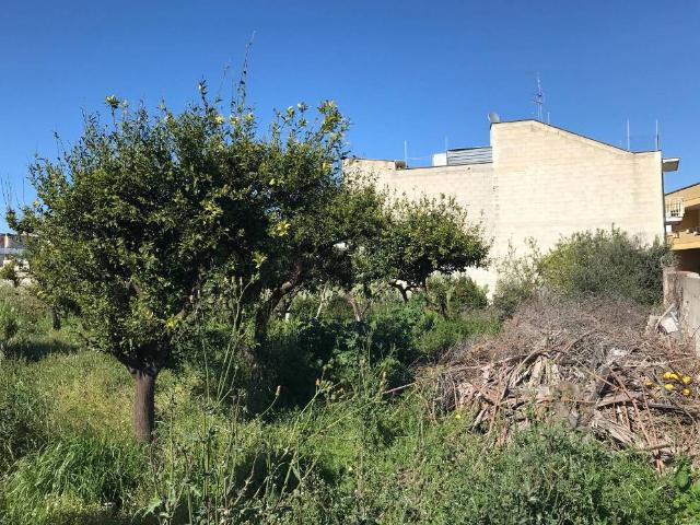 Terreno in vendita a Puglia, Brindisi