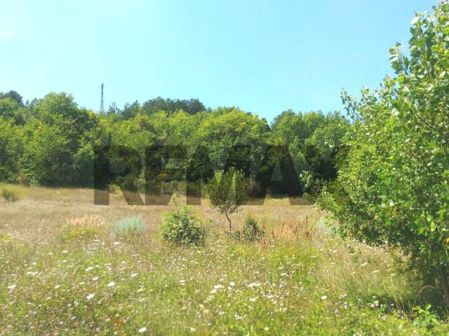 Terreno in vendita a San Pio Delle Camere, Abruzzo