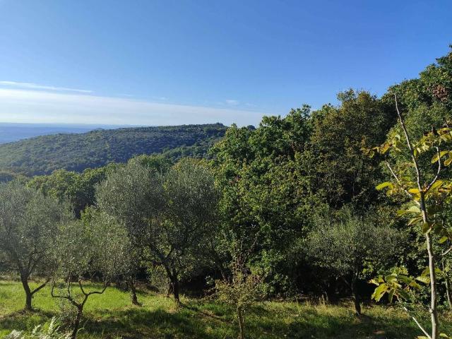 Terreno in vendita a Roma Capitale, Lazio