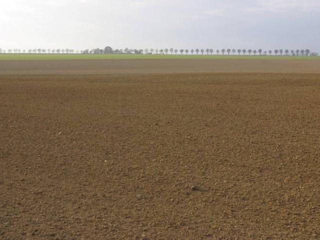 Terreno in vendita a Unione Comuni Modenesi Area Nord, San Possidonio