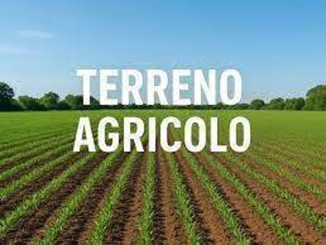 Terreno in vendita a Unione Comuni Modenesi Area Nord, San Possidonio
