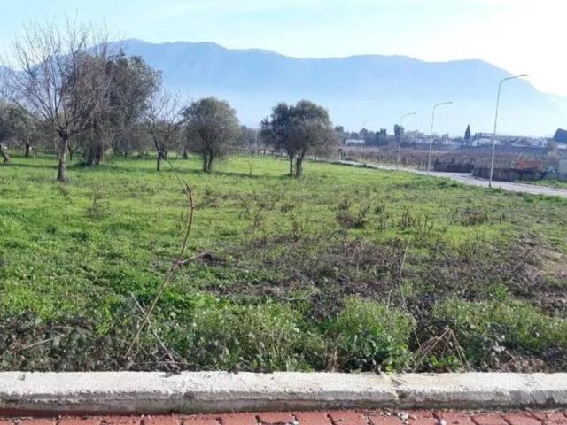 Terreno in vendita a San Salvatore Telesino, Campania