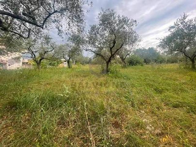Terreno in vendita a San Salvatore Telesino, Campania