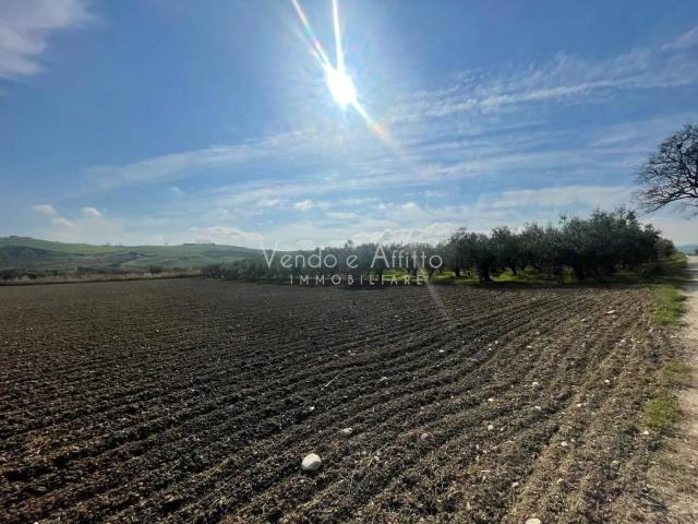 Terreno in vendita a Piane Sant'Angelo, San Salvo