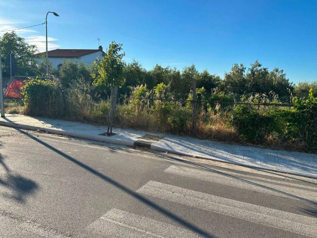 Terreno in vendita a Cupello, Abruzzo