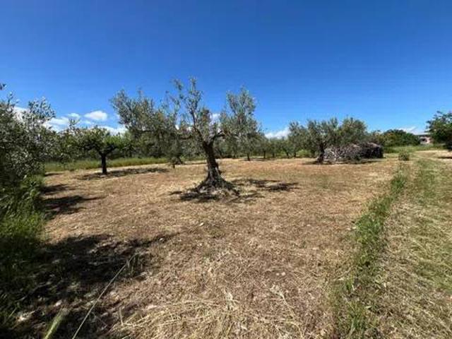 Terreno in vendita a Piane Sant'Angelo, San Salvo