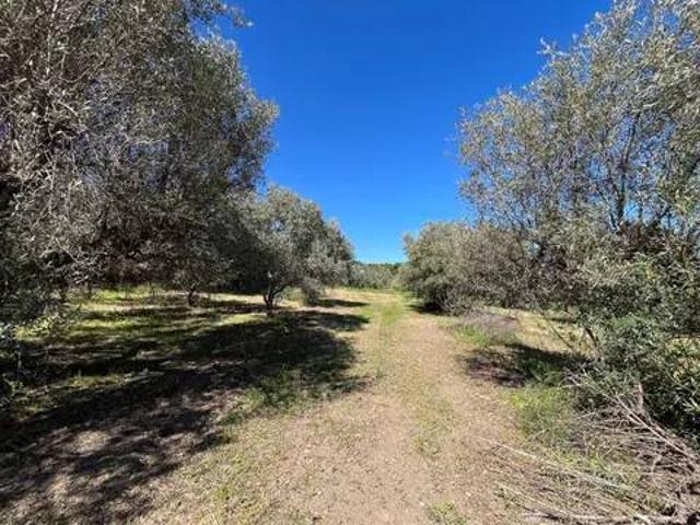 Terreno in vendita a Piane Sant'Angelo, San Salvo