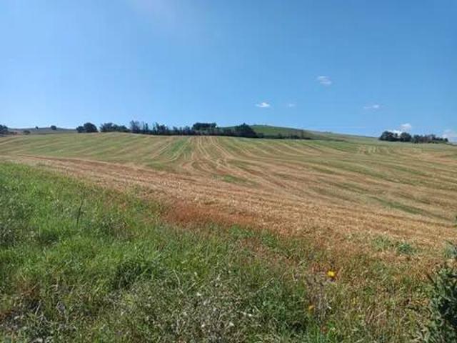 Terreno in vendita a Di Contro, Marche