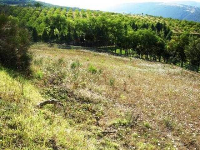 Terreno in vendita a Uvaiolo, Marche