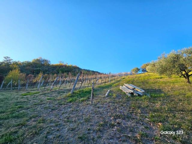 Terreno in vendita a Marche, Macerata