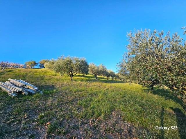 Terreno in vendita a Marche, Macerata