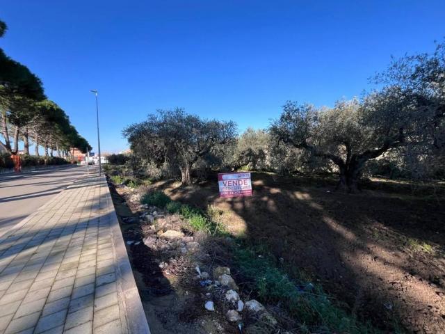 Terreno in vendita a Puglia, Foggia