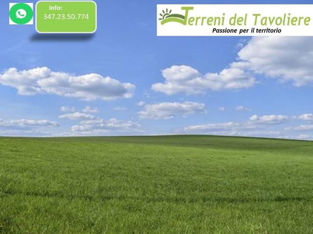 Terreno in vendita a Puglia, Foggia