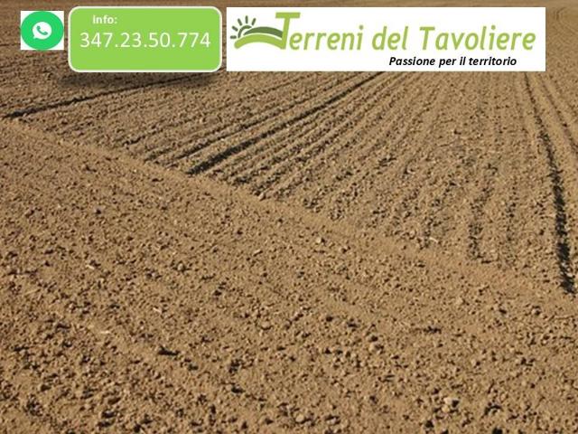 Terreno in vendita a Puglia, Foggia