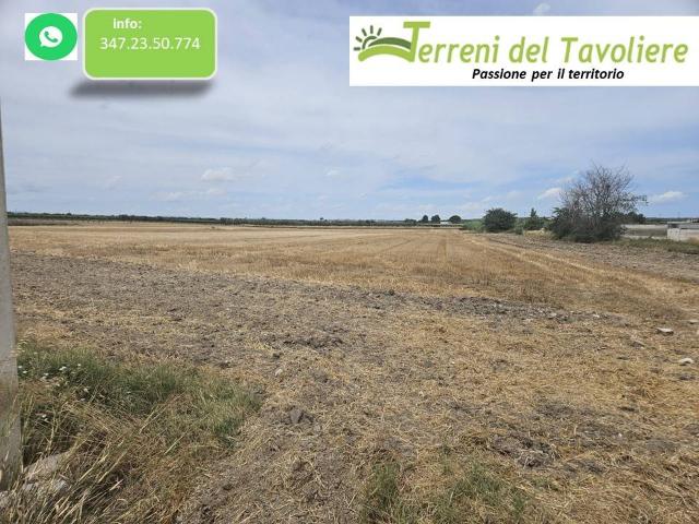 Terreno in vendita a Puglia, Foggia