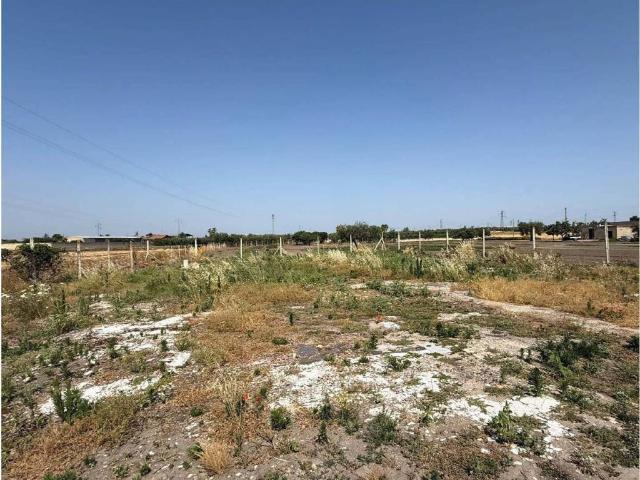 Terreno in vendita a Puglia, Foggia
