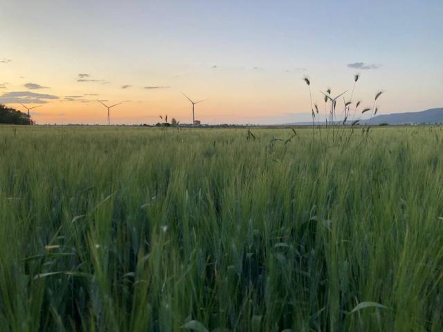 Terreno in vendita a Puglia, Foggia