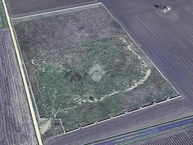 Terreno in vendita a Puglia, Foggia