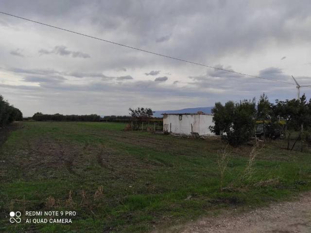Terreno in vendita a Puglia, Foggia