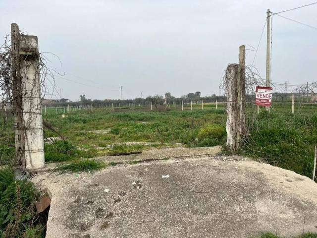 Terreno in vendita a Puglia, Foggia