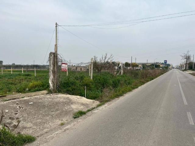 Terreno in vendita a Puglia, Foggia