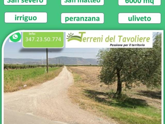 Terreno in vendita a Puglia, Foggia