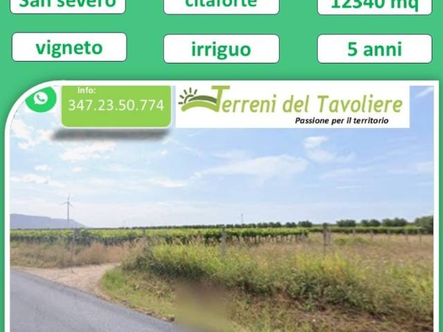 Terreno in vendita a Puglia, Foggia