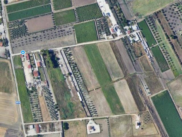 Terreno in vendita a San Severo, Foggia