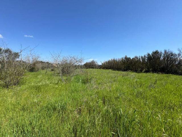 Terreno in vendita a San Sperate, Sardigna/Sardegna