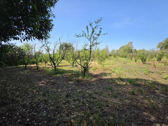 Terreno in vendita a Villasor, Sardigna/Sardegna
