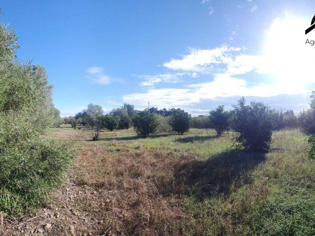 Terreno in vendita a San Sperate, Sardigna/Sardegna