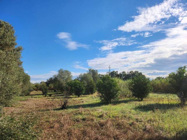 Terreno in vendita a San Sperate, Sardigna/Sardegna
