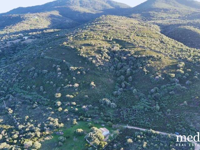 Terreno in vendita a Puntaldia, Sardigna/Sardegna