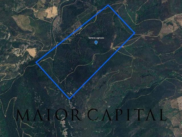 Terreno in vendita a Puntaldia, Sardigna/Sardegna