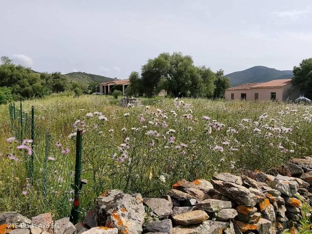 Terreno in vendita a Puntaldia, Sardigna/Sardegna